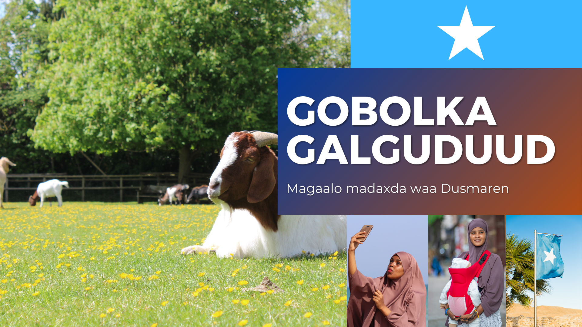 Galgaduud