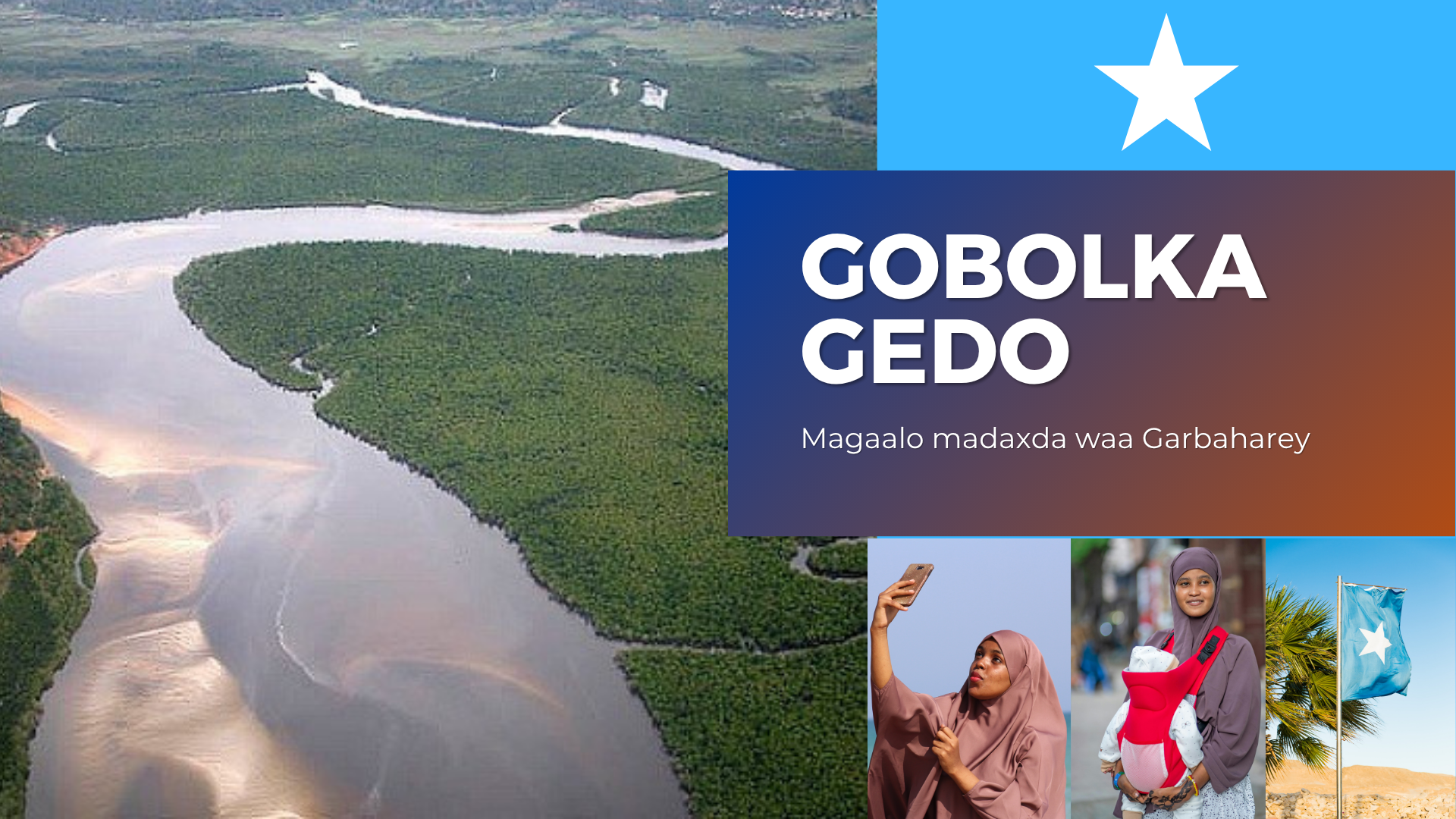 Gedo