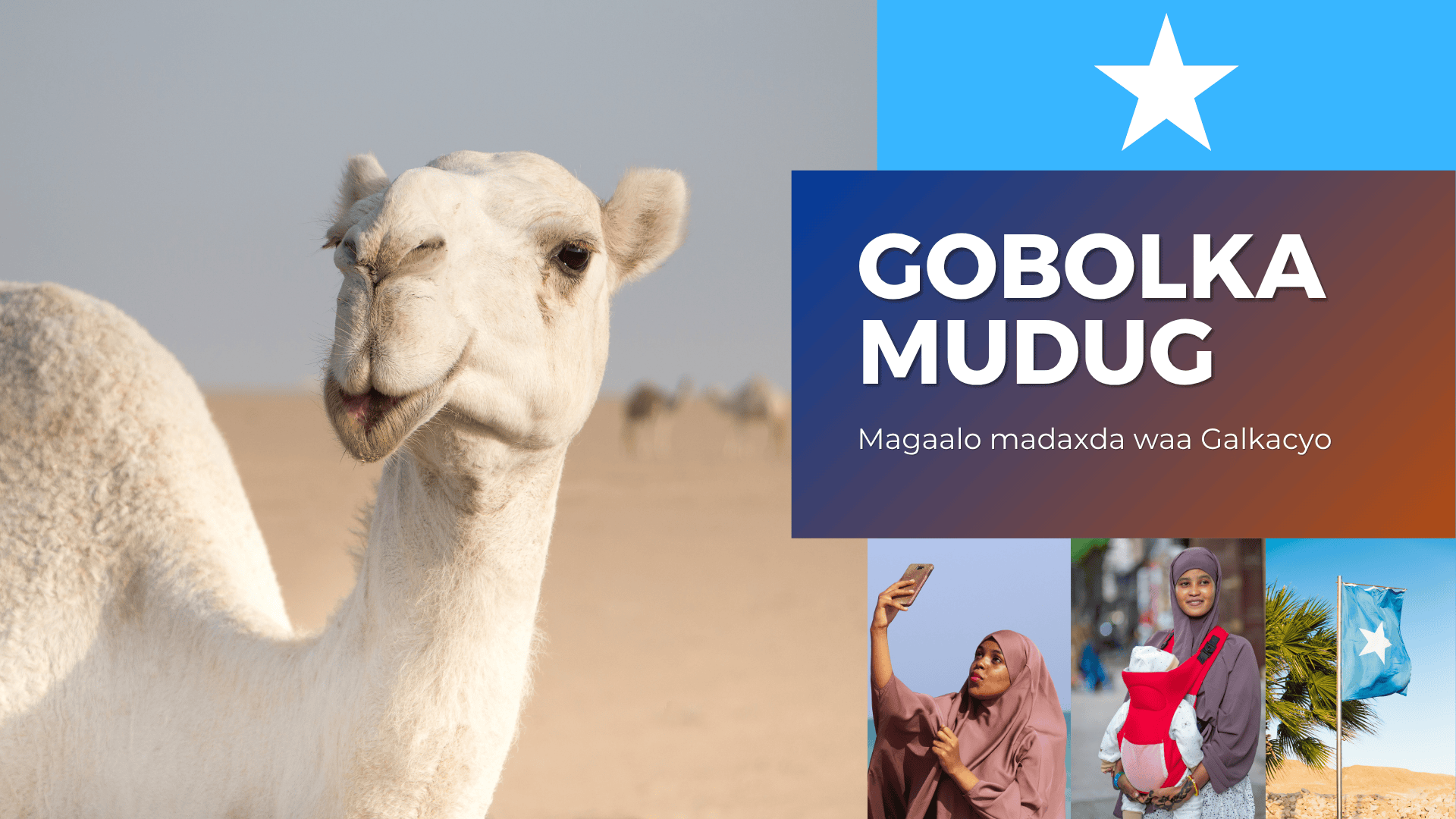 Mudug