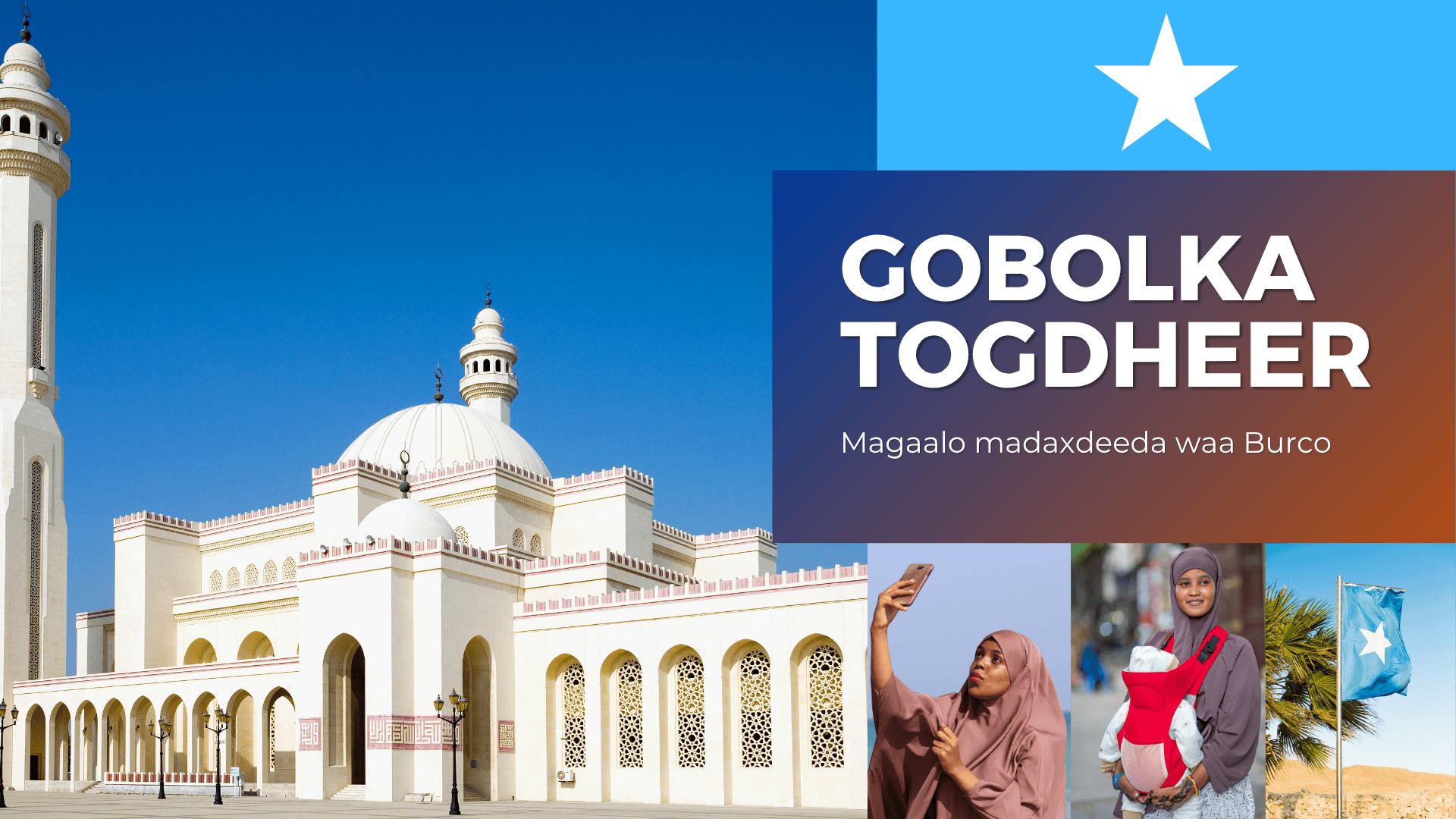 Togdheer